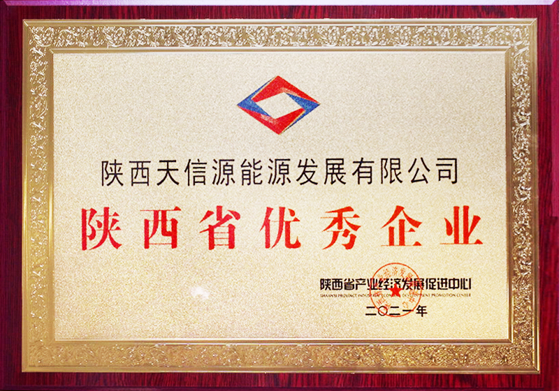 陕西省优秀企业.jpg